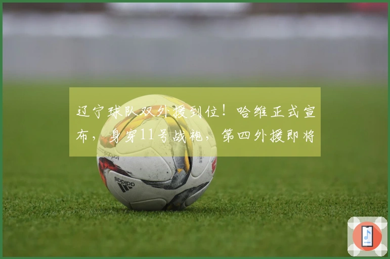 辽宁球队双外援到位！哈维正式宣布，身穿11号战袍，第四外援即将抵达。