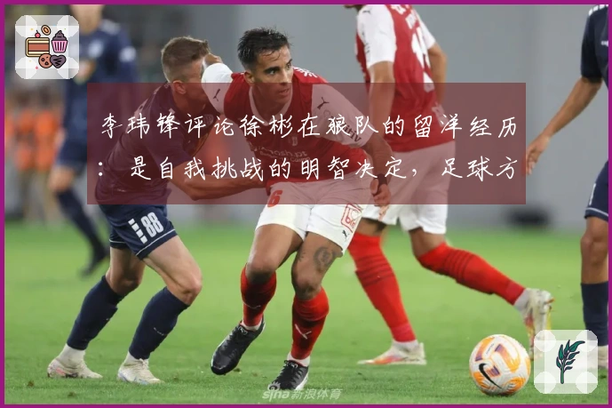 李玮锋评论徐彬在狼队的留洋经历：是自我挑战的明智决定，足球方面面临诸多困难