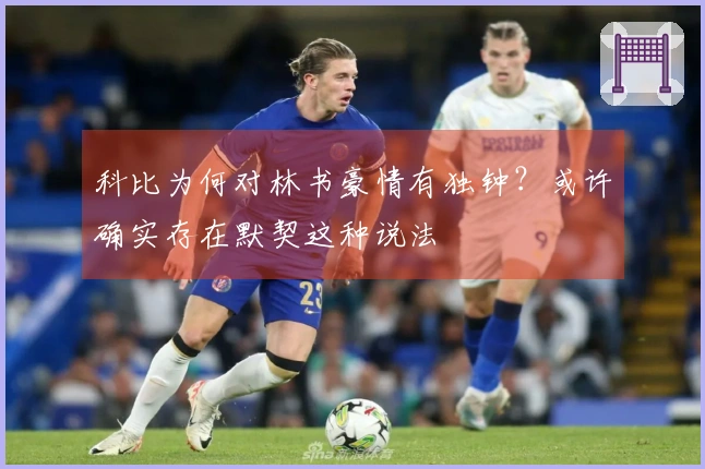 科比为何对林书豪情有独钟？或许确实存在默契这种说法